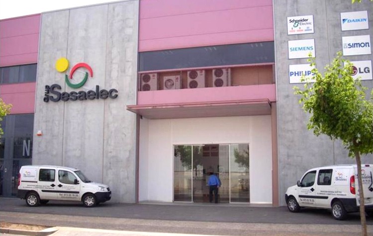 Reunión anual Sesaelec